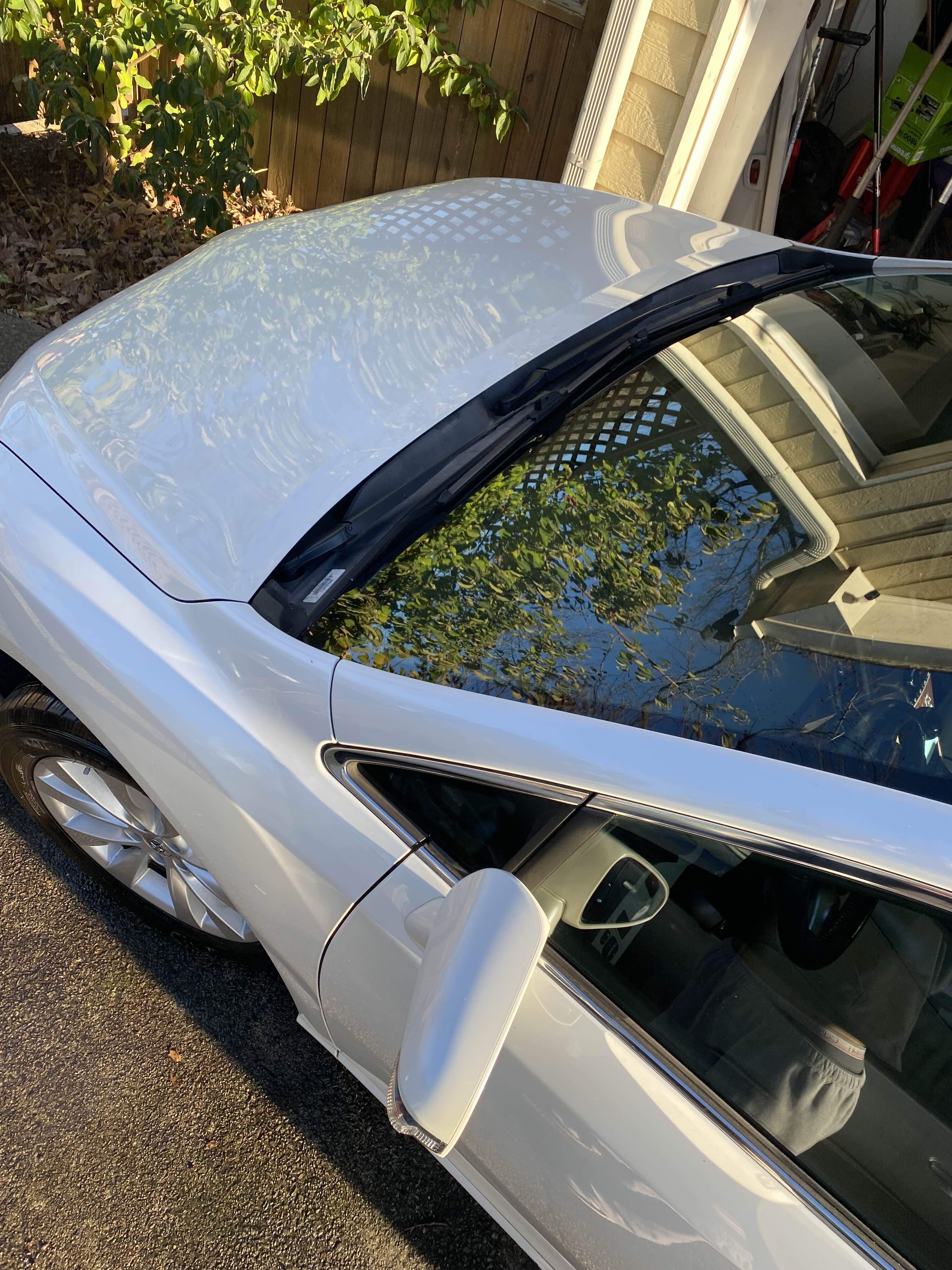 Hood & Windshield Shine